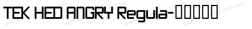 TEK HED ANGRY Regula字体转换